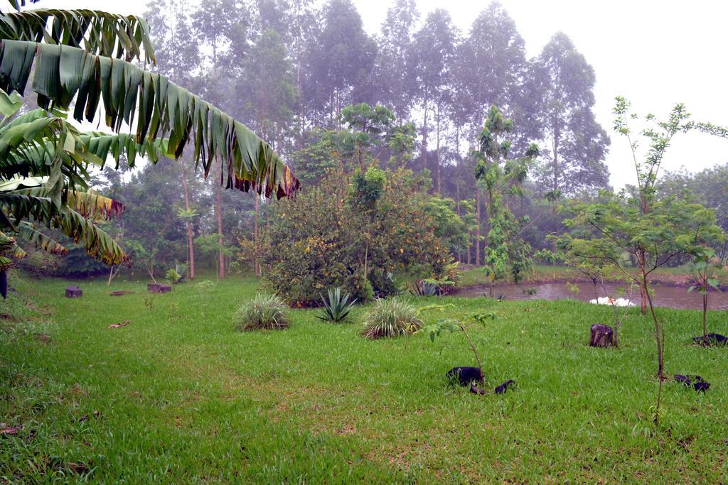 Pousada Guata Pora Foz do Iguaçu Dış mekan fotoğraf