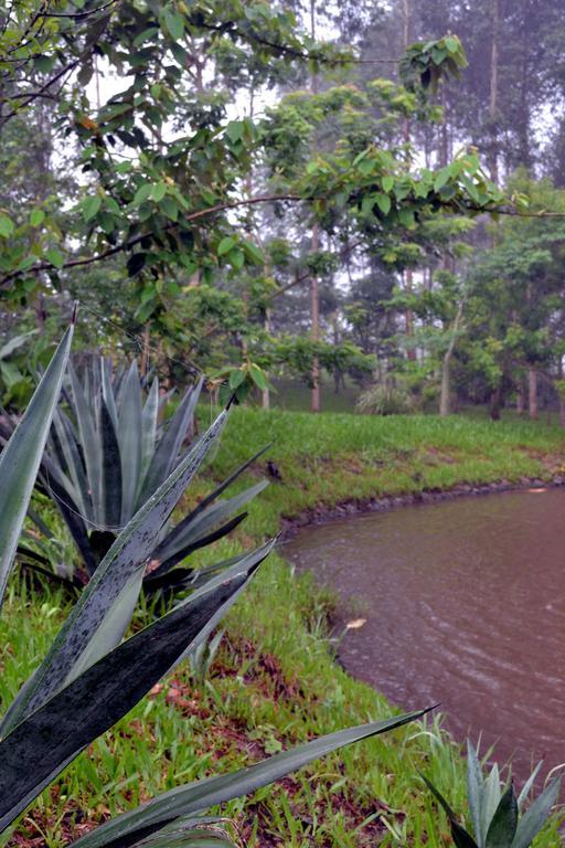 Pousada Guata Pora Foz do Iguaçu Dış mekan fotoğraf