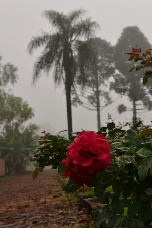 Pousada Guata Pora Foz do Iguaçu Dış mekan fotoğraf