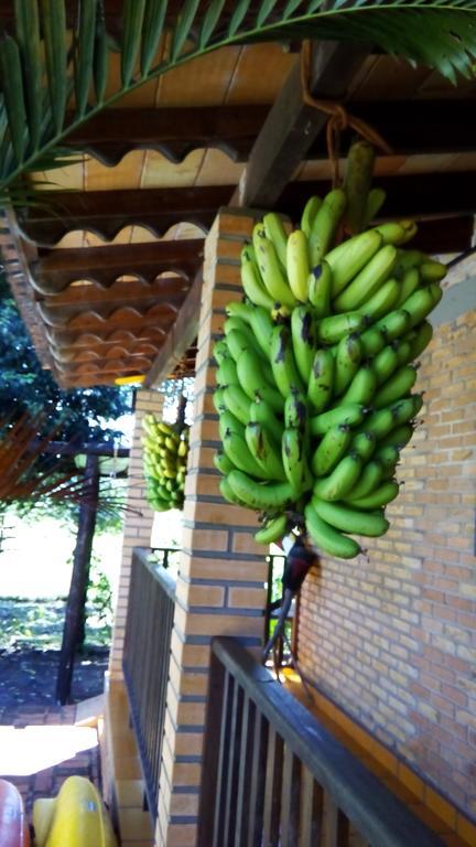 Pousada Guata Pora Foz do Iguaçu Dış mekan fotoğraf