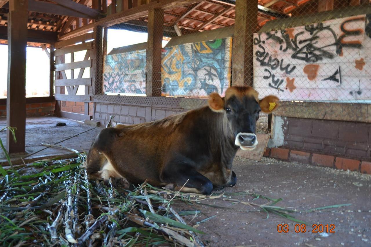 Pousada Guata Pora Foz do Iguaçu Dış mekan fotoğraf