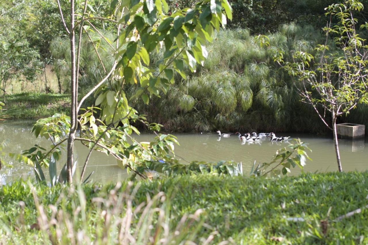 Pousada Guata Pora Foz do Iguaçu Dış mekan fotoğraf